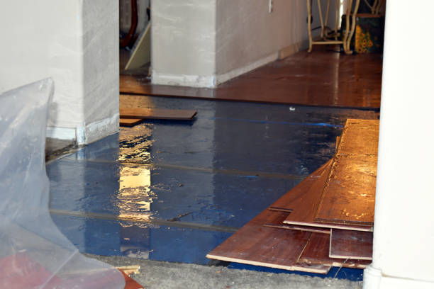 Professional Burst Pipe Water Damage technician working in Chalfont, PA